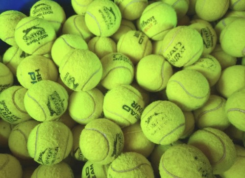 Dog tennis balls pet - dog,