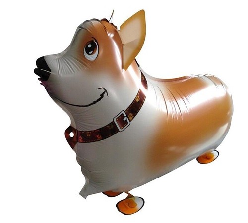 Corgi dog balloon walking pet - dog,