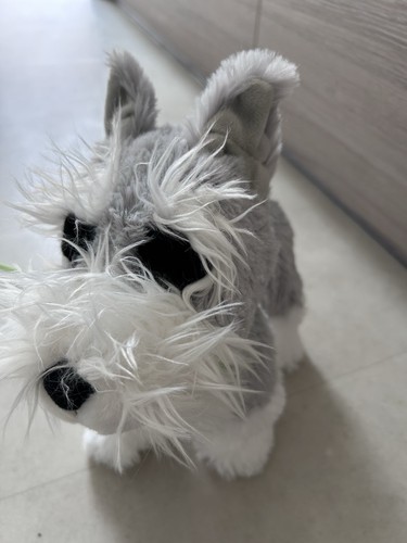 Toy dogs walking - toy,