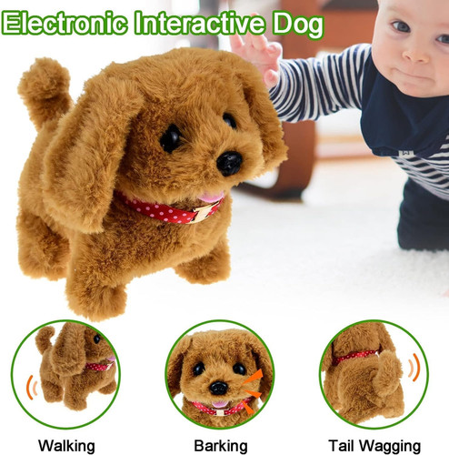 Toy dogs for - toy,