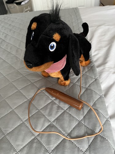 Plush toy dog - plush, pitter