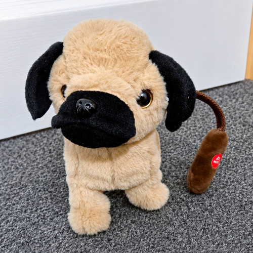 Plush pug dog - soft, toy