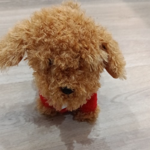 Waffle the wonder dog - the,
