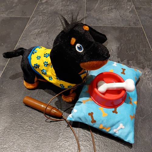 Pitter patter pets wiggle - patter,