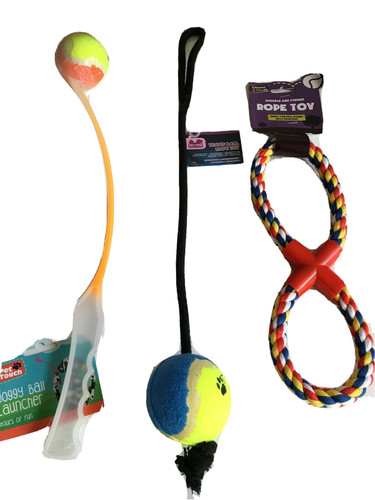 Dog walking pack tennis - dog,