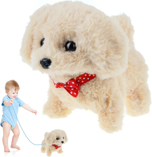 Toy dogs for - toy,