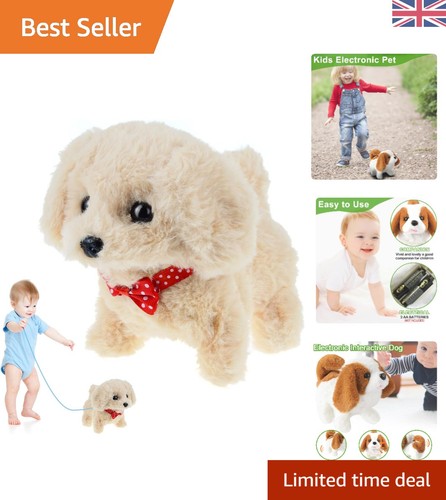 Multifunctional walking dog - multifunctional,