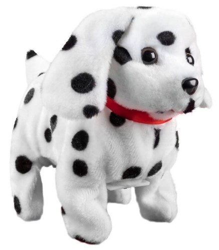 Dalmatian puppy dog - dalmatian, walks