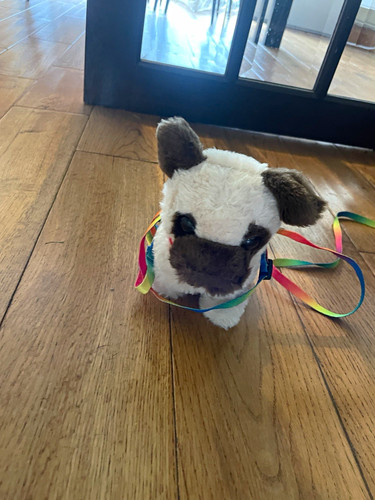 Small plush dog - dog, white