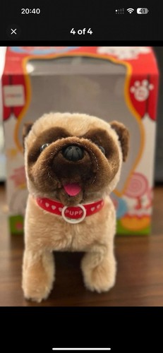 Cute dog walking - cute,