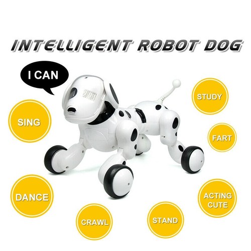 Smart dog sing dance - smart,