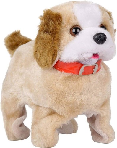 Cute dog walking - cute,