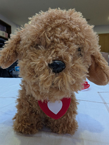 Waffle the wonder dog - wonder,