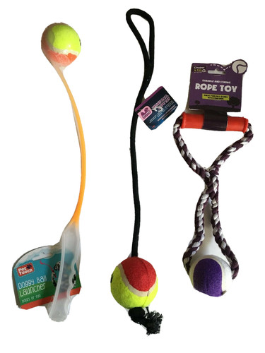 Dog walking tennis ball - walking,