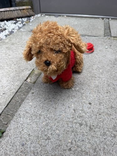 Walkies with waffle - waffle, the