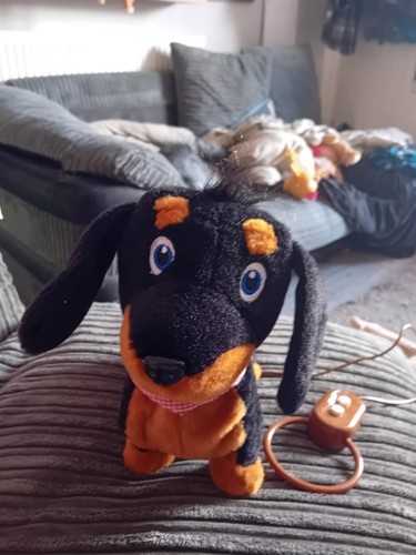 Pitter patter pets daschund - patter,
