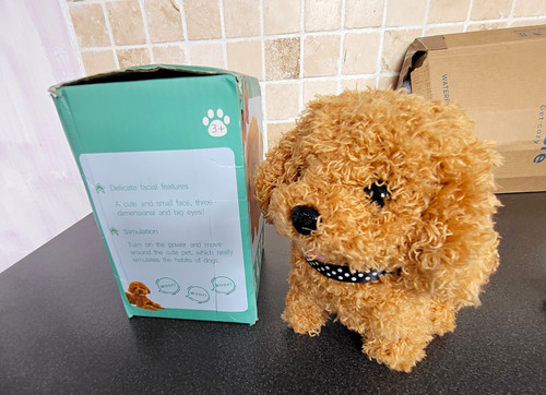 Electronic toy pet - toy,