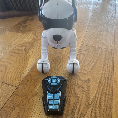 Walking dog toys for kids - walking,