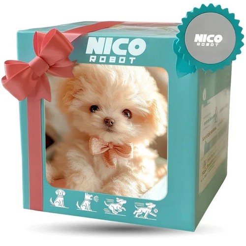 Plush teddy toy - teddy,