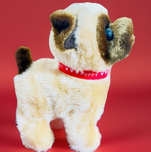 Cute dog walking barking - dog,